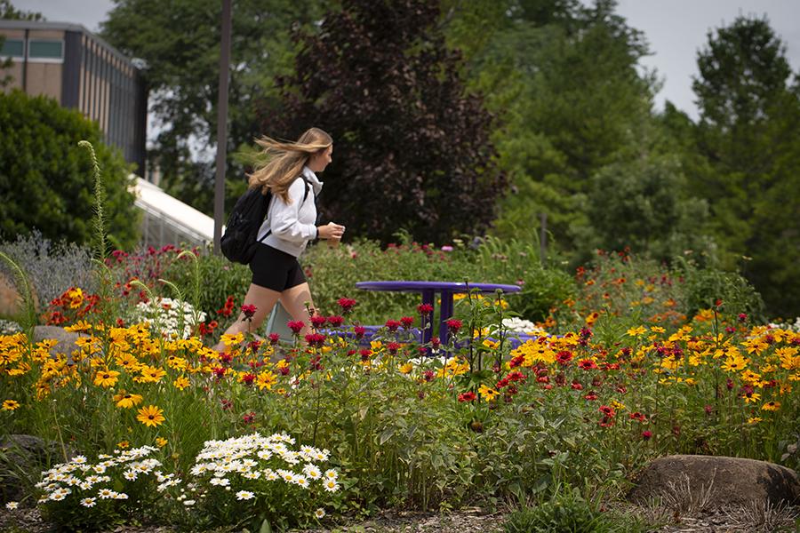 A student walks through a garden with colorful flowers.