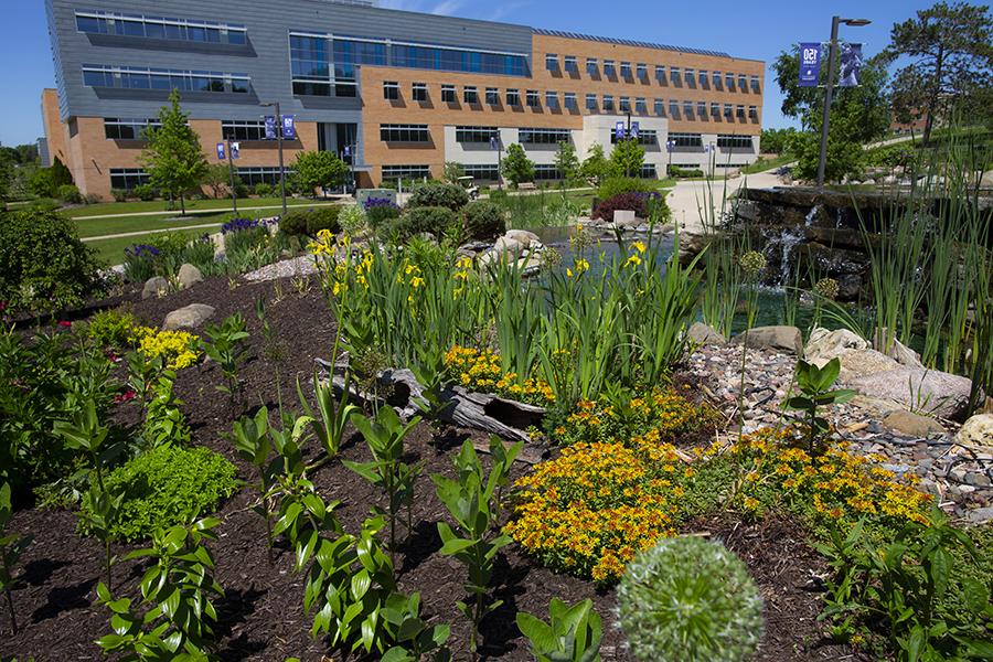 A garden full of spring flowers by Hyland Hall.